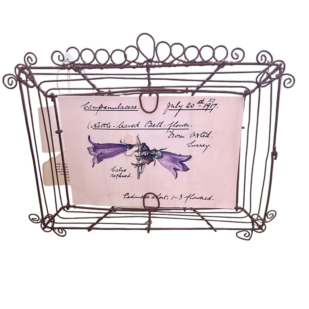 Wire Filigree Frame Handcrafted Rust Patina by America Retold 4”x6” Photo Card